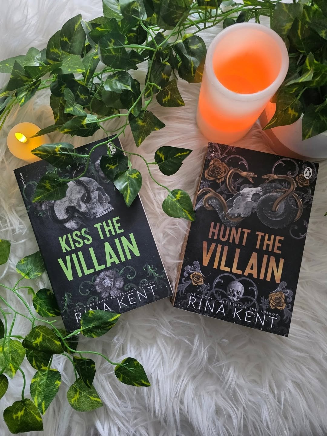 Villain Series (2 Books) by Rina Kent