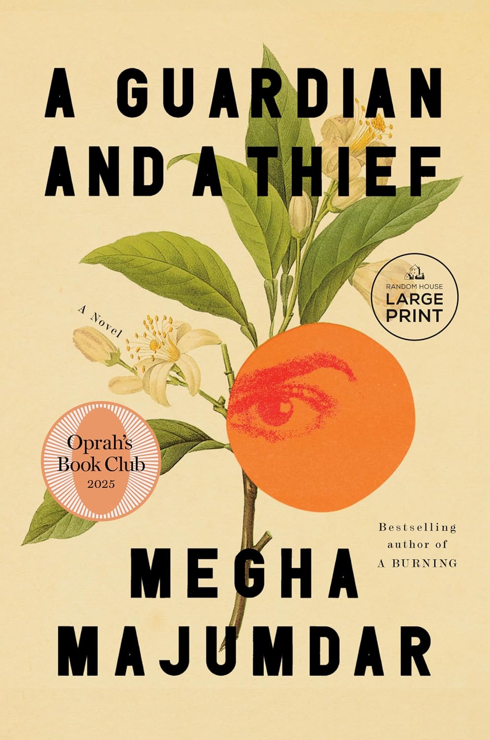 A Guardian and a Thief by Megha Majumdar