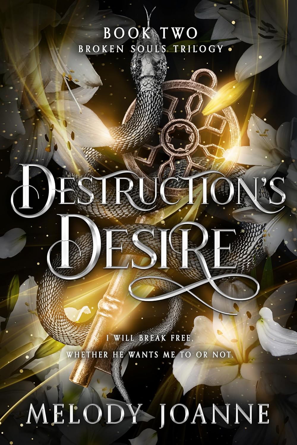 Destruction's Desire by Melody Joanne