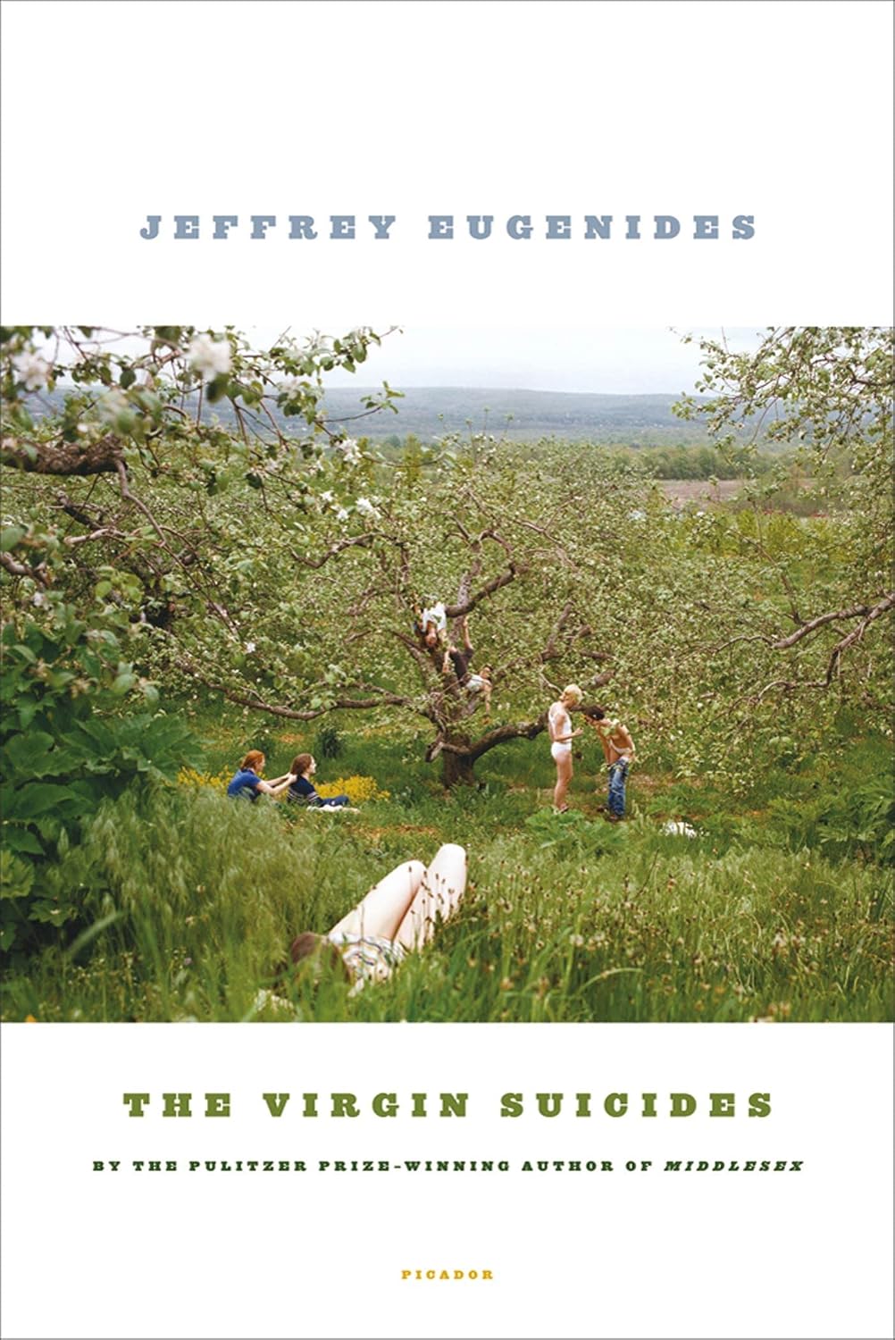 The Virgin Suicides by Jeffrey Eugenides