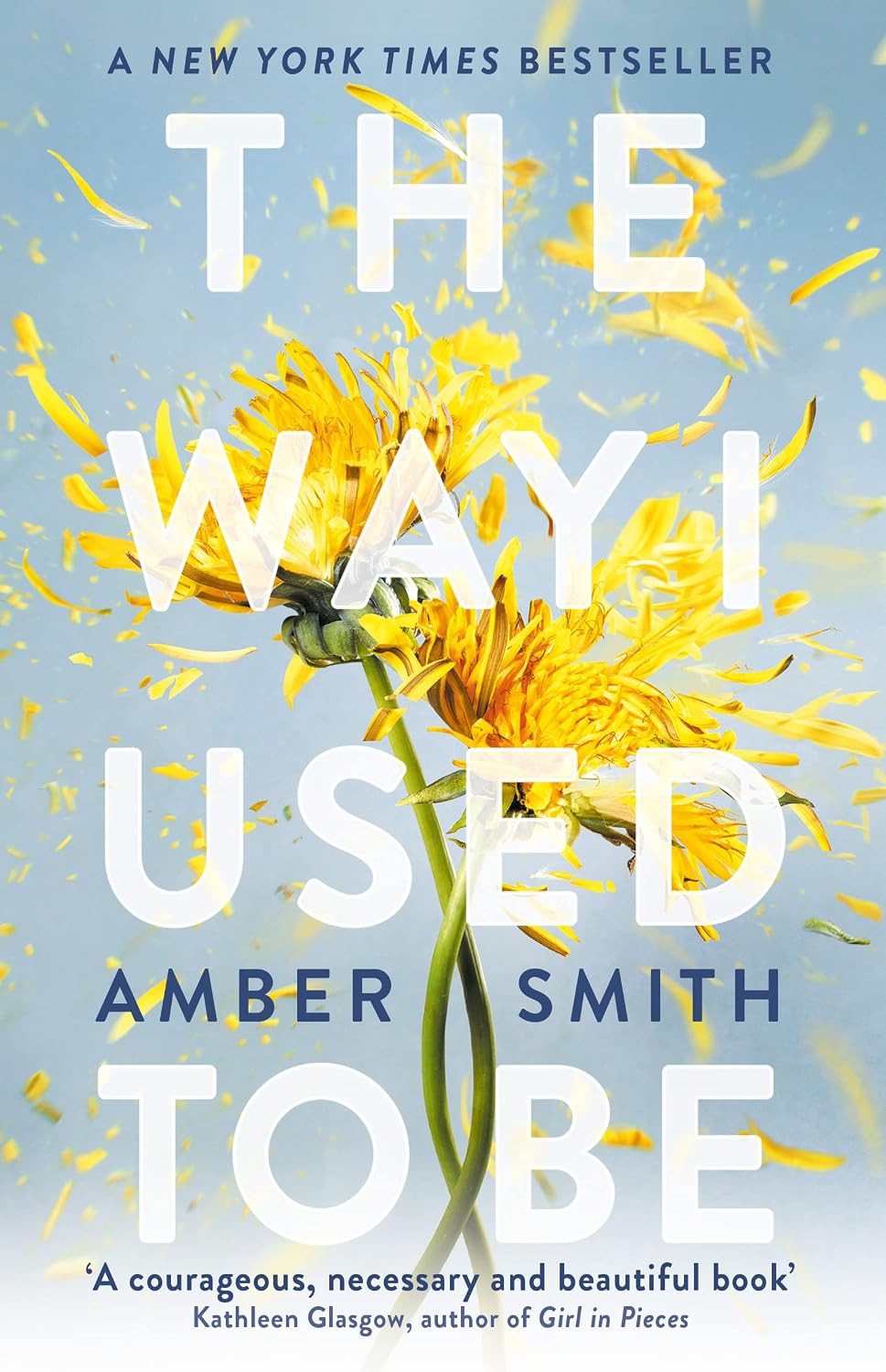The Way I Used to Be by Amber Smith