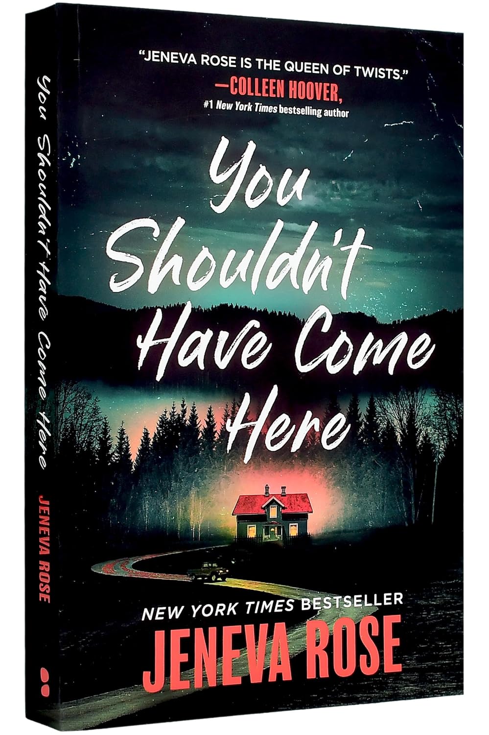 You Shouldn't Have Come Here by Jeneva Rose